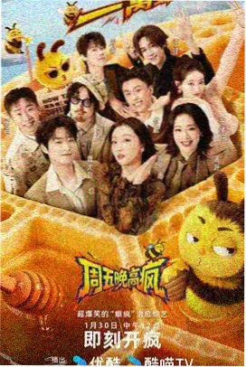 高清综艺免费视频观看